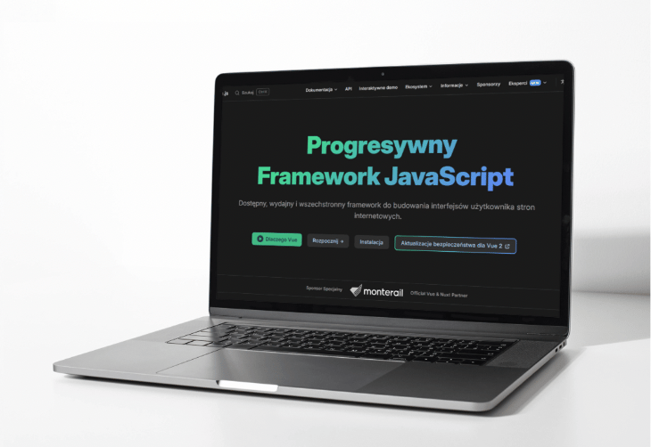 Vue documentation in Polish