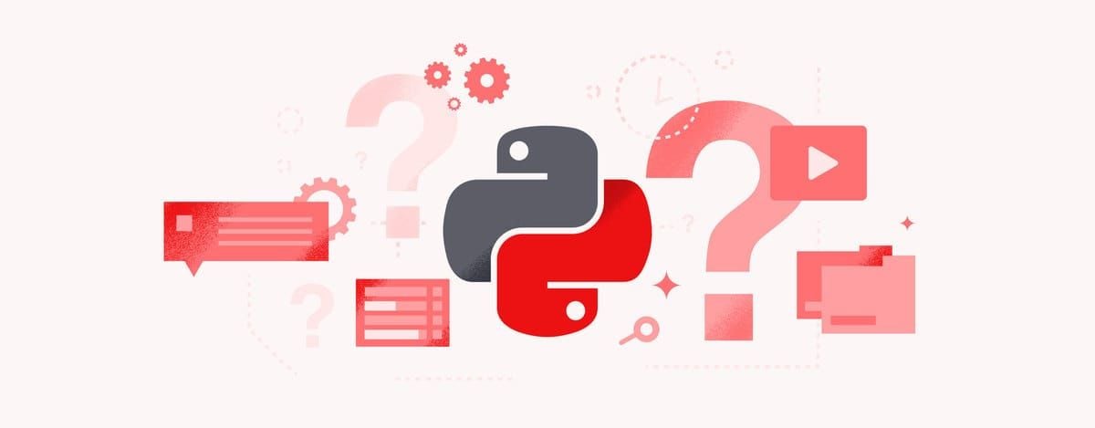 When to Use Python and How Can It Benefit Your Business?