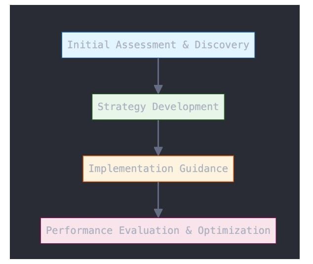The Software Development Consulting Process