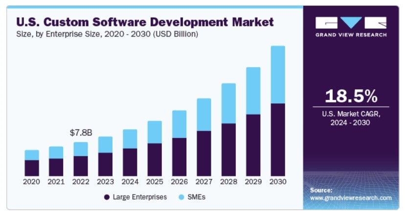 custom web app software development market