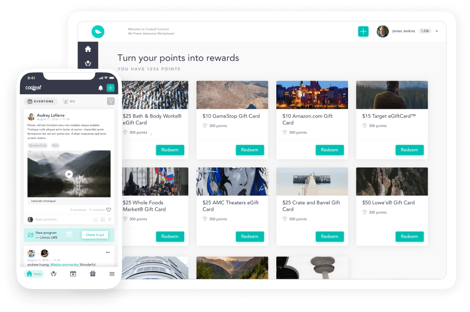 cooleaf case study example of custom web app