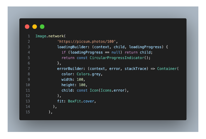 network images on the web platform, Code snippet showing how to implement caching for network images in a Flutter app